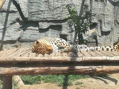 -石家庄市动物园