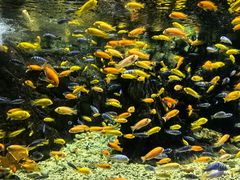 -太平洋海底世界