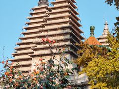 -北京石刻艺术博物馆(五塔寺)