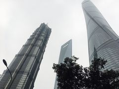-上海中心大厦