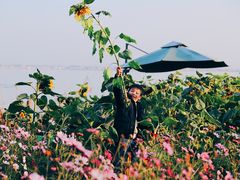 -七的湖·晚芳亭·阳澄湖农家菜·大闸蟹(莲花岛店)