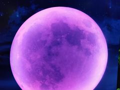-天津梵高星空艺术馆(天河城旗舰店)