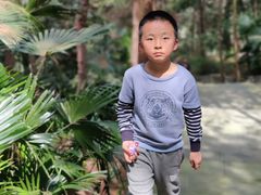 -铁山坪森林公园