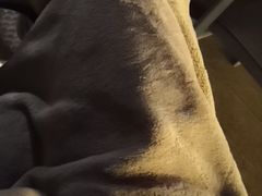 -顽啤熊·酒客酒馆(苏城夜景必选店)