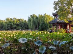 -莲池书院博物馆