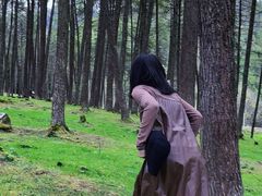 -硗碛藏寨·神木垒景区