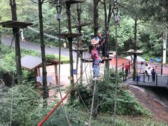 -梦幻奥陶纪景区