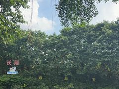 -广州长隆飞鸟乐园
