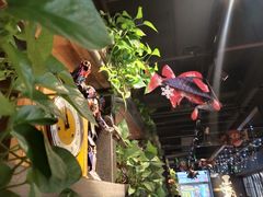 -探鱼·鲜青椒爽麻烤鱼(西南商都店)