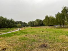 -莫子山公园
