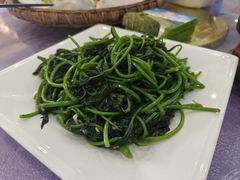 -顺德美食坊(南沙分店)