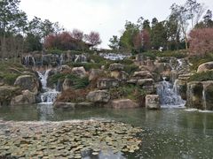 -三圣花乡旅游区