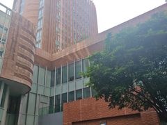 -香港大学