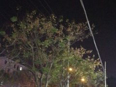 -源牌酒店·家常六安菜