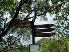 -马峦山郊野公园