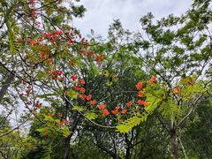 -中国移动南方基地