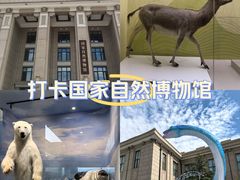 -国家自然博物馆
