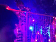 -郑州方特梦幻王国