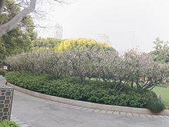 -人民广场