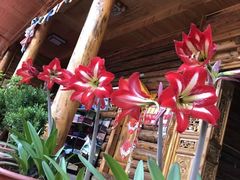 -广州莲花山旅游区