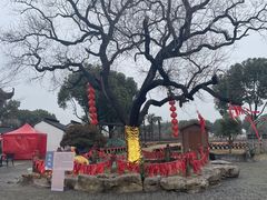 -嬉乐湾休闲旅游区