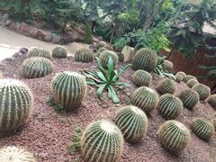 -呀路古热带植物园