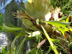 -国家植物园南园