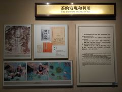 -中国茶叶博物馆(双峰馆区)