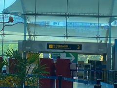 -重庆江北国际机场-T2航站楼