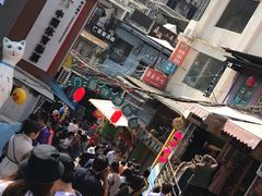 -猫咪博物馆(顶澳仔猫街店)