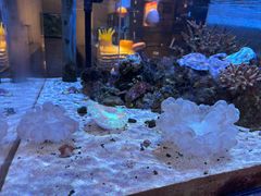 -鹿儿岛水族馆