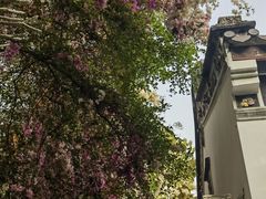 -深圳国际园林花卉博览园