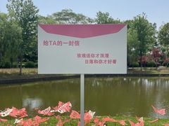 -上海鲜花港