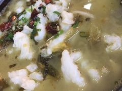 -周鱼小馆石锅酸菜鱼(活力汇店)