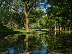 -上海共青森林公园