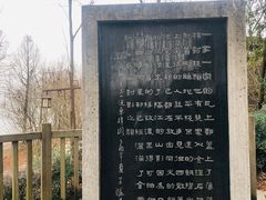 -东梓关景区村庄