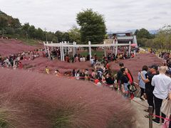 -牛岗山公园