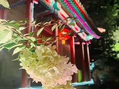 -白家大院·王府宫廷菜(苏州街店)
