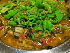 杂鱼锅仔-全乐鱼馆·淳牌有机鱼直营店