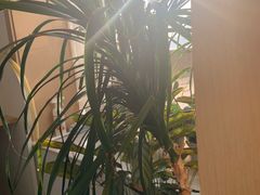 -竹川学社·自助沉浸自习室(海淀黄庄店)