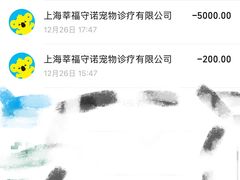 -守诺宠物医院·眼科· 神经外科·爬宠专科(虹口店)