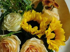 -1861意大利餐厅(文化广场店)