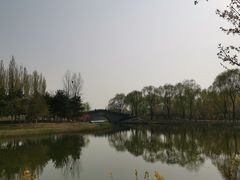 -大兴滨河森林公园