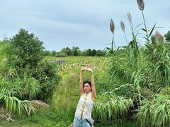 -鄱阳湖国家湿地公园
