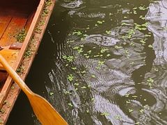 -渌洋湖湿地公园