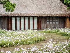 -良渚古城遗址公园