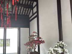 -上海醉白池公园