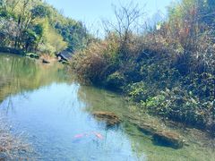 -夏霖九天银瀑风景区