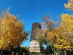 -玲珑塔公园