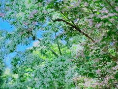 -国家植物园南园